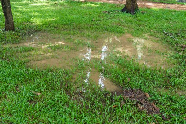 Cost of Storm Water Drainage Service in Keller