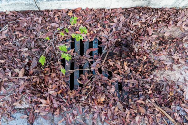 Cost of Yard Drain Unclogging in Keller