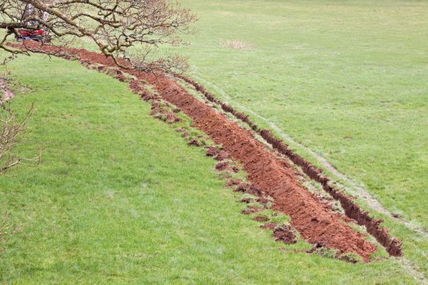 Cost of Swale Installation in Keller